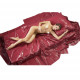 PVC Orgy Bedding PVC Orgy Bedding